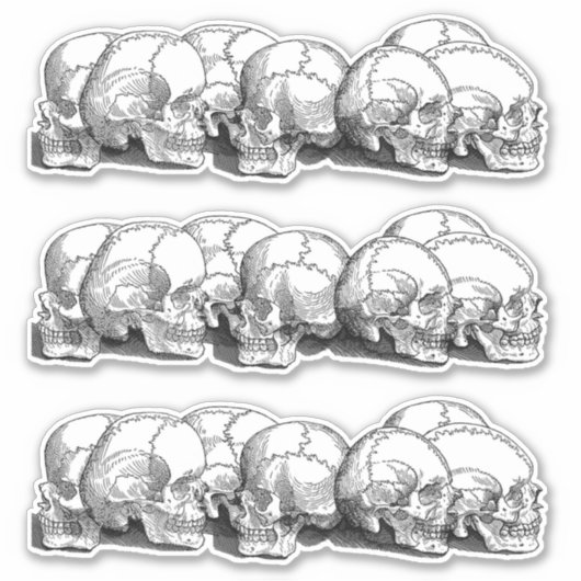 +|  schedels ||+ sticker (Voorkant)