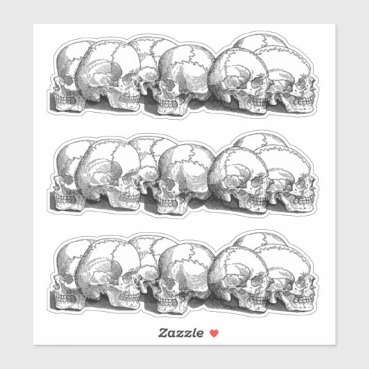 +|  schedels ||+ sticker (Vel)