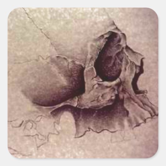 schedels vierkante sticker (Voorkant)