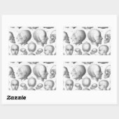 Schedeltypen Rechthoekige Sticker (Vel)