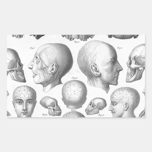 Schedeltypen Rechthoekige Sticker (Voorkant)