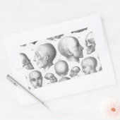 Schedeltypen Rechthoekige Sticker (Envelop)