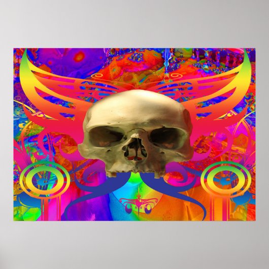 Schedelvlinder in kleur poster (Voorkant)
