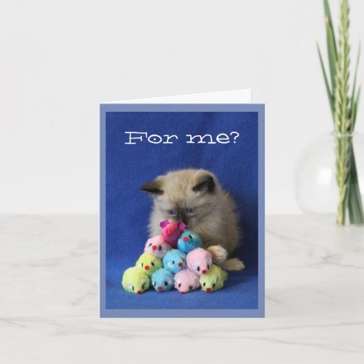 Scheel Katje met de Muizen van het Speelgoed Bedankkaart (Voorkant)