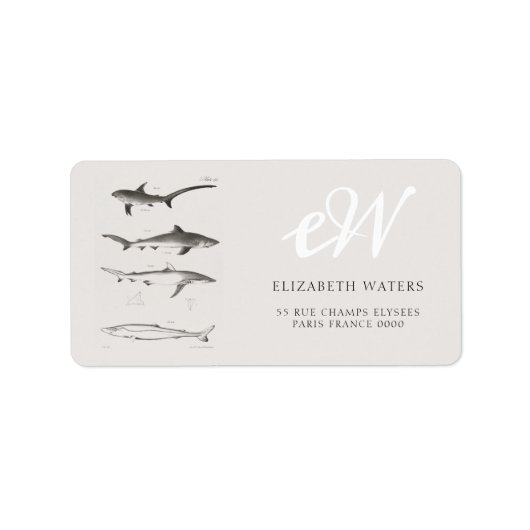 SCHEEPILLUSTRATIESCHART ADRES ETIKET (Voorkant)