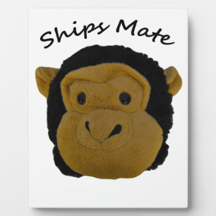 Scheepsattest Fotoplaat