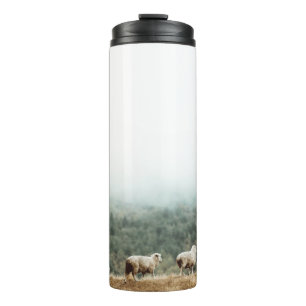 SCHEEPSBESTAND OP HET GEBIED VAN DE BROWN GRAS TIJ THERMOSBEKER