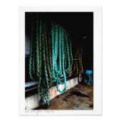 Scheepsboomstammen Foto Afdruk (Voorkant)