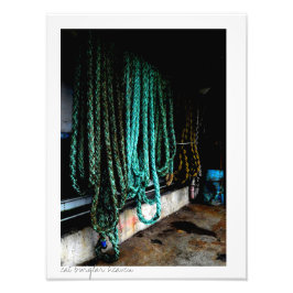 Scheepsboomstammen Foto Afdruk