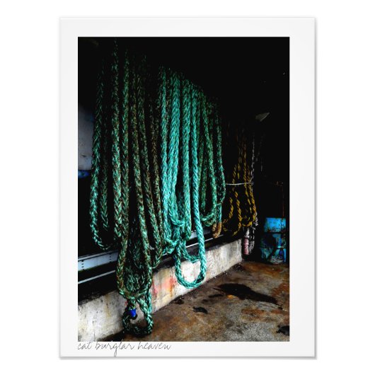 Scheepsboomstammen Foto Afdruk (Voorkant)