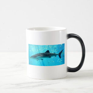 Scheepshaai zeewater Roze Blauwe Walvishaai Magische Mok