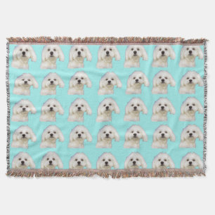 Scheepstzu, Maltees, Bichon Frise puppy op blauw Deken