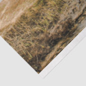 Scheepswrak Ocean 20x30 ontkoppeling Tissuepapier (Detail)