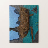 Scheepswrak onder water legpuzzel (Verticaal)