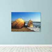 Scheepswrak op strand, Skeleton Coast, Namibië Canvas Afdruk (Insitu (Houten vloer))
