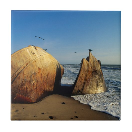 Scheepswrak op strand, Skeleton Coast, Namibië Tegeltje (Voorkant)