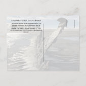 Scheepswrak van Verona Spiekeroog Island, Oost-Fri Briefkaart (Achterkant)