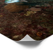 Scheepswrak verborgen achter een rif poster (Hoek)