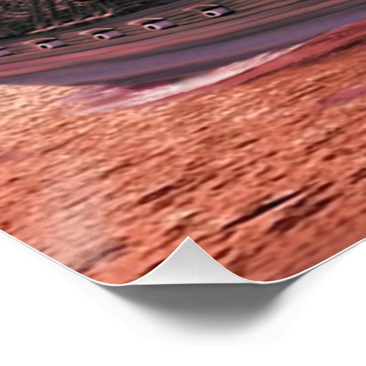 SCHEEPSZILS OP SUNSET POSTER (Hoek)