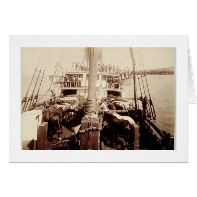 Scheepvaart op de W.G. Hall', Hawaii, jaren '90 (Voorkant Horizontaal)