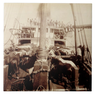 Scheepvaart op de W.G. Hall', Hawaii, jaren '90 Tegeltje