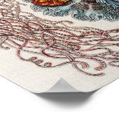 Scheepvaart - Poster Ernst Haeckel (Hoek)