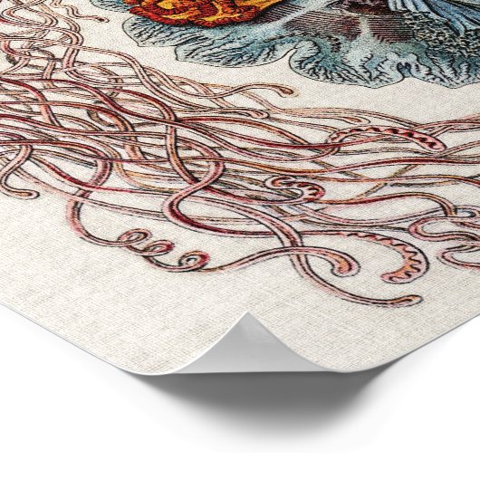 Scheepvaart - Poster Ernst Haeckel (Hoek)