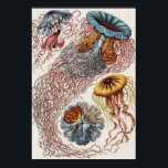 Scheepvaart - Poster Ernst Haeckel<br><div class="desc">Discomedusae-Scheibenquallen uit Kunstformen der Natur (1904) van de Duitse zoöloog, natuuronderzoeker, hoogleraar en marien bioloog Ernst Haeckel (1843-1919). Origineel uit de Library of Congress. De geometrische vormen en natuurlijke vormen, met uitzonderlijke precisie vastgelegd.</div>