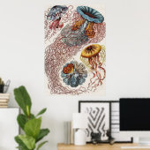 Scheepvaart - Poster Ernst Haeckel (Thuiskantoor)