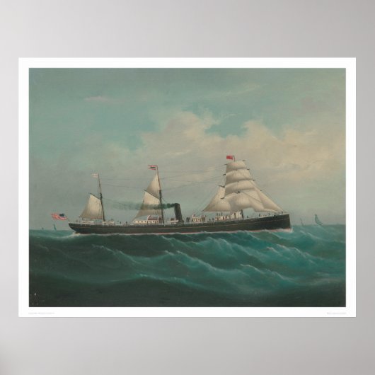 Scheepvaartschip- De stad Rio de Janeiro (1260) Poster (Voorkant)