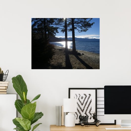 scheerlmeer poster (Thuiskantoor)