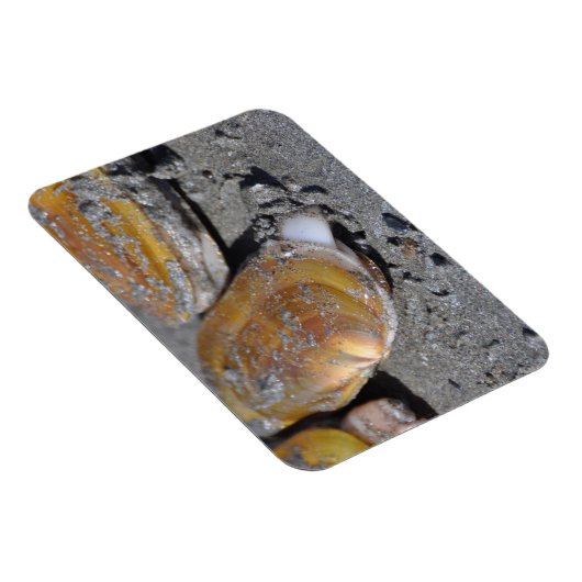 Scheermesjes graven magneet (Rechterzijde)