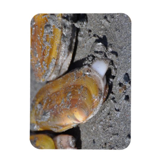 Scheermesjes graven magneet (Verticaal)