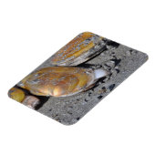 Scheermesjes graven magneet (Linkerzijde)