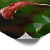 Scheerpenseelstructuur Poster (Hoek)