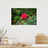 Scheerpenseelstructuur Poster (Keuken)