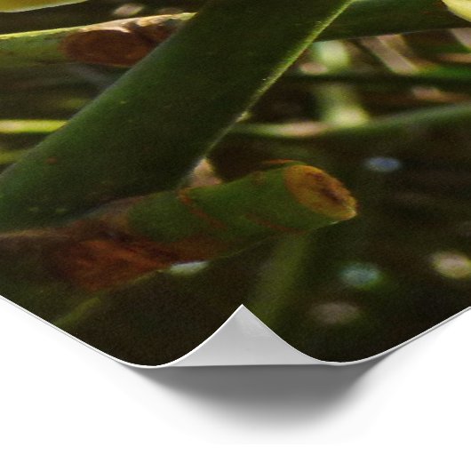 Scheerpenseelstructuur Poster (Hoek)