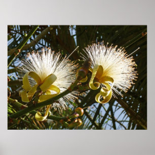 Scheerpenseelstructuur Poster