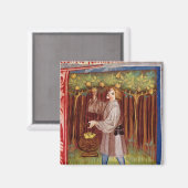 Scheervruchten Magneet (Voorkant / Achterkant)