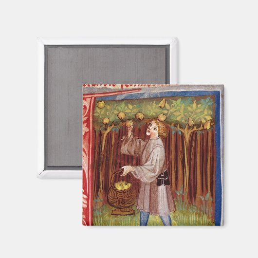 Scheervruchten Magneet (Voorkant / Achterkant)