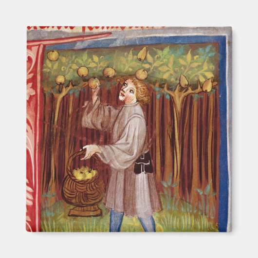 Scheervruchten Magneet (Voorkant)