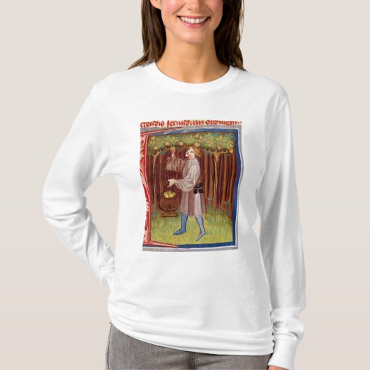 Scheervruchten T-shirt (Voorkant)