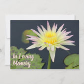 Scheffenaankondiging waterlily Memorial Service Kaart (Voorkant)