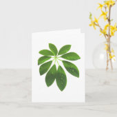 Schefflera-briefkaart Kaart (Gele Bloem)