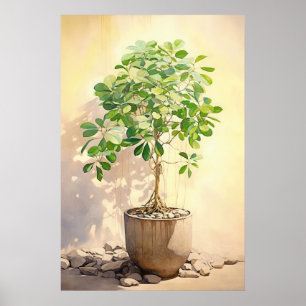 Schefflera Heptaphylla in Pot Poster