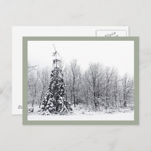 scheiding met zekerheid briefkaart (Voorkant / Achterkant)