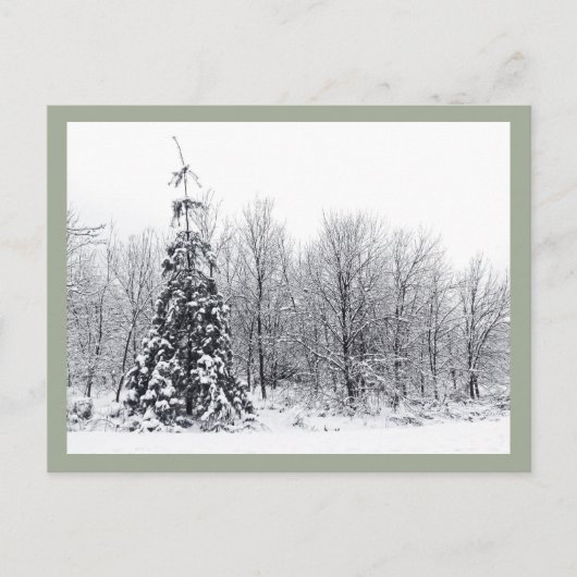 scheiding met zekerheid briefkaart (Voorkant)