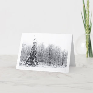 scheiding met zekerheid feestdagen kaart