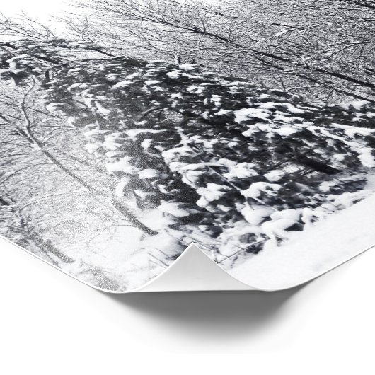 scheiding met zekerheid foto afdruk (Hoek)