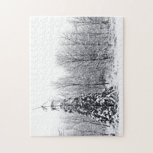 scheiding met zekerheid legpuzzel (Verticaal)